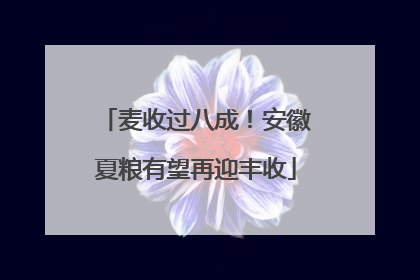 麦收过八成！安徽夏粮有望再迎丰收