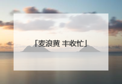 麦浪黄 丰收忙