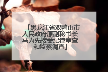 黑龙江省双鸭山市人民政府原副秘书长马为先接受纪律审查和监察调查