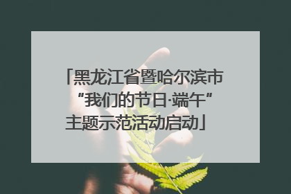 黑龙江省暨哈尔滨市“我们的节日·端午”主题示范活动启动