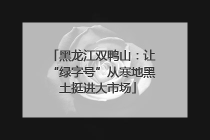 黑龙江双鸭山：让“绿字号”从寒地黑土挺进大市场