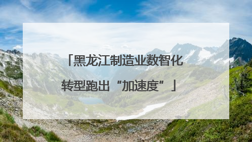 黑龙江制造业数智化转型跑出“加速度”