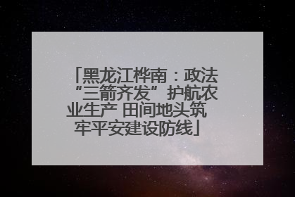 黑龙江桦南：政法“三箭齐发”护航农业生产 田间地头筑牢平安建设防线