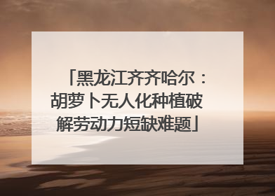 黑龙江齐齐哈尔：胡萝卜无人化种植破解劳动力短缺难题