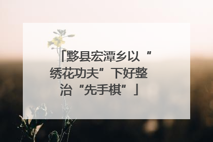 黟县宏潭乡以“绣花功夫”下好整治“先手棋”
