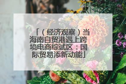 （经济观察）当海南自贸港遇上跨境电商综试区：国际贸易添新动能
