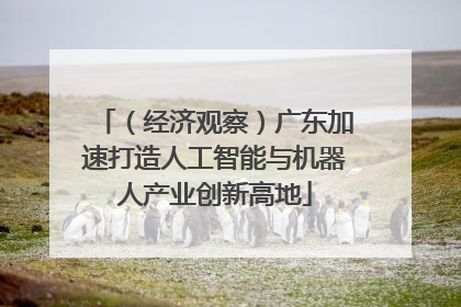 （经济观察）广东加速打造人工智能与机器人产业创新高地