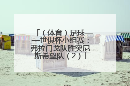 （体育）足球——世俱杯小组赛：弗拉门戈队胜突尼斯希望队（2）