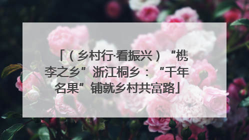（乡村行·看振兴）“槜李之乡”浙江桐乡：“千年名果”铺就乡村共富路