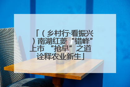 （乡村行·看振兴）南湖红菱“错峰”上市 “抢早”之道诠释农业新生
