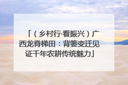 （乡村行·看振兴）广西龙脊梯田：背篓变迁见证千年农耕传统魅力