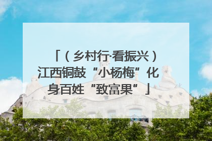 （乡村行·看振兴）江西铜鼓“小杨梅”化身百姓“致富果”