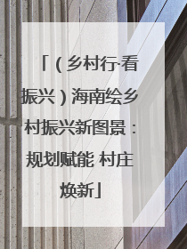 （乡村行·看振兴）海南绘乡村振兴新图景：规划赋能 村庄焕新