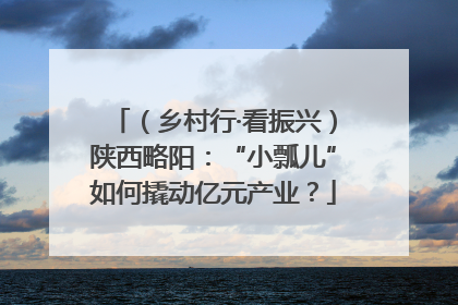 （乡村行·看振兴）陕西略阳：“小瓢儿”如何撬动亿元产业？