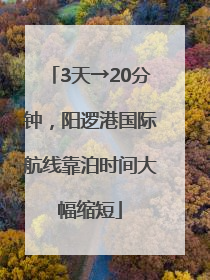 3天→20分钟，阳逻港国际航线靠泊时间大幅缩短