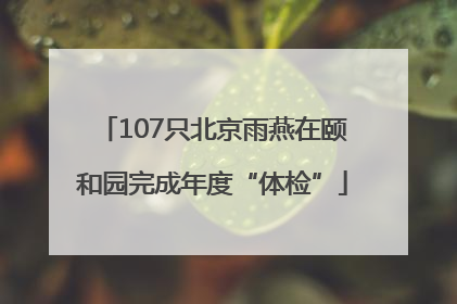 107只北京雨燕在颐和园完成年度“体检”