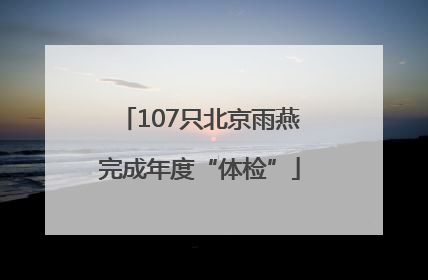 107只北京雨燕完成年度“体检”