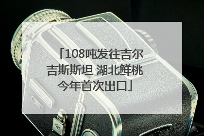 108吨发往吉尔吉斯斯坦 湖北鲜桃今年首次出口