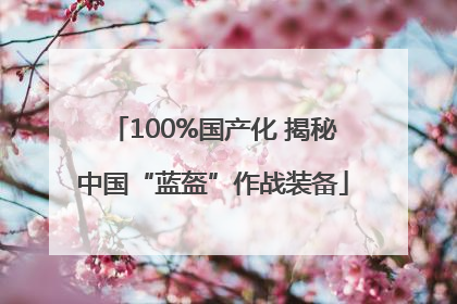 100%国产化 揭秘中国“蓝盔”作战装备