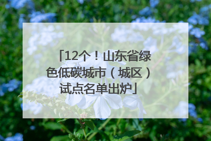 12个！山东省绿色低碳城市（城区）试点名单出炉