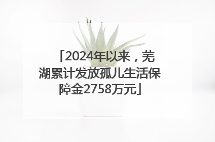 2024年以来，芜湖累计发放孤儿生活保障金2758万元