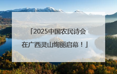 2025中国农民诗会在广西灵山绚丽启幕！