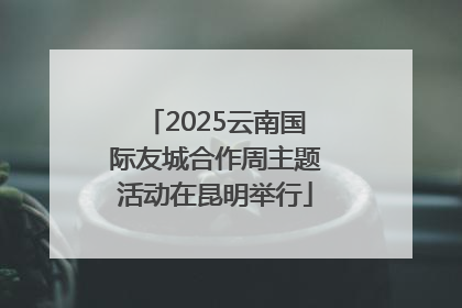 2025云南国际友城合作周主题活动在昆明举行