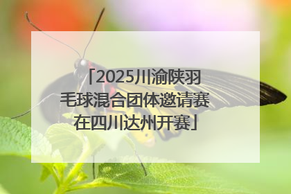 2025川渝陕羽毛球混合团体邀请赛在四川达州开赛