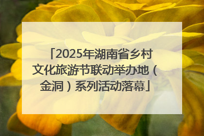 2025年湖南省乡村文化旅游节联动举办地（金洞）系列活动落幕