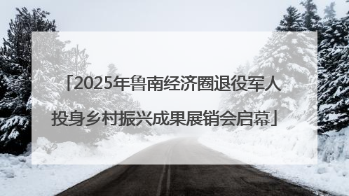 2025年鲁南经济圈退役军人投身乡村振兴成果展销会启幕