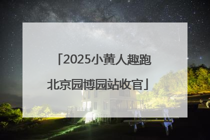 2025小黄人趣跑北京园博园站收官
