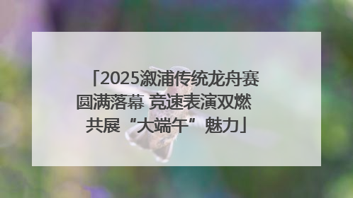 2025溆浦传统龙舟赛圆满落幕 竞速表演双燃 共展“大端午”魅力