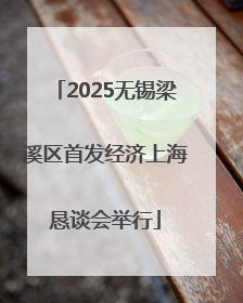 2025无锡梁溪区首发经济上海恳谈会举行