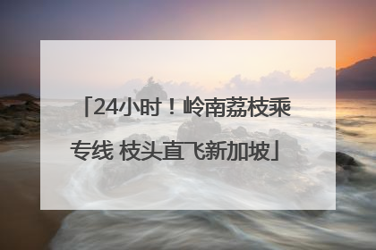 24小时！岭南荔枝乘专线 枝头直飞新加坡