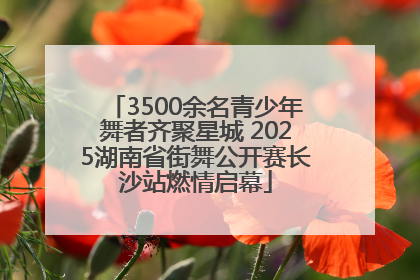 3500余名青少年舞者齐聚星城 2025湖南省街舞公开赛长沙站燃情启幕