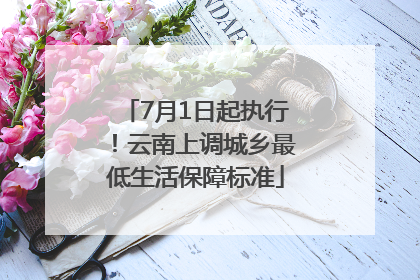 7月1日起执行！云南上调城乡最低生活保障标准