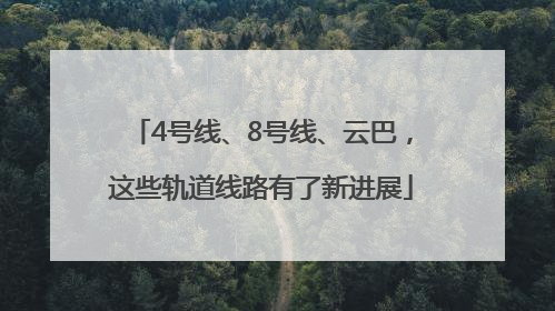4号线、8号线、云巴，这些轨道线路有了新进展