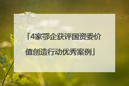 4家鄂企获评国资委价值创造行动优秀案例