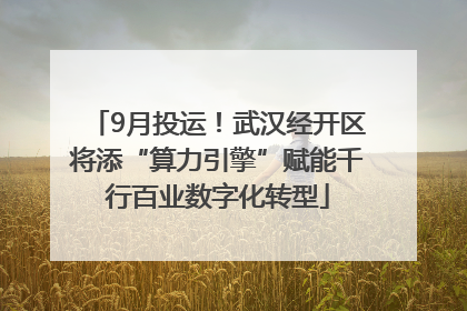 9月投运！武汉经开区将添“算力引擎”赋能千行百业数字化转型