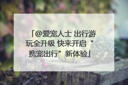 @爱宠人士 出行游玩全升级 快来开启“携宠出行”新体验