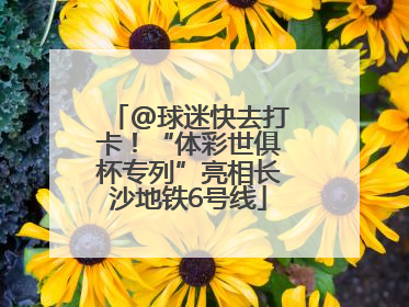 @球迷快去打卡！“体彩世俱杯专列”亮相长沙地铁6号线