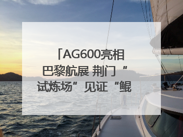 AG600亮相巴黎航展 荆门“试炼场”见证“鲲龙”腾飞