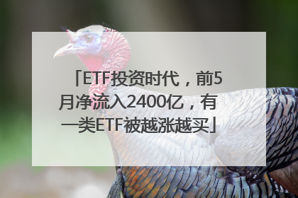 ETF投资时代，前5月净流入2400亿，有一类ETF被越涨越买